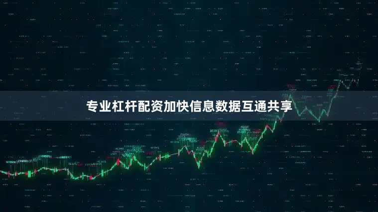 专业杠杆配资加快信息数据互通共享