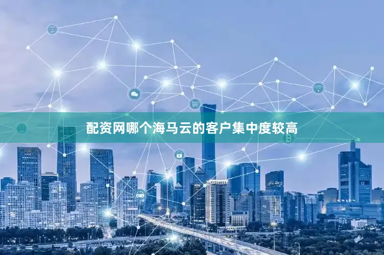 配资网哪个海马云的客户集中度较高