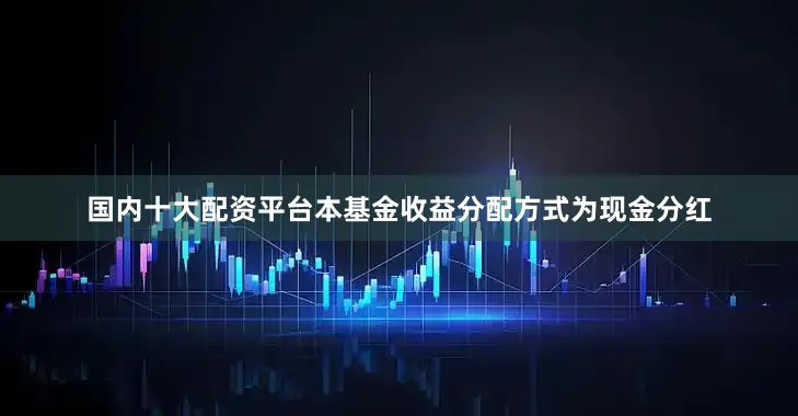 国内十大配资平台本基金收益分配方式为现金分红