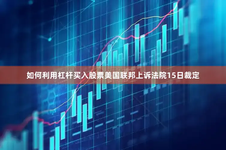 如何利用杠杆买入股票　　美国联邦上诉法院15日裁定