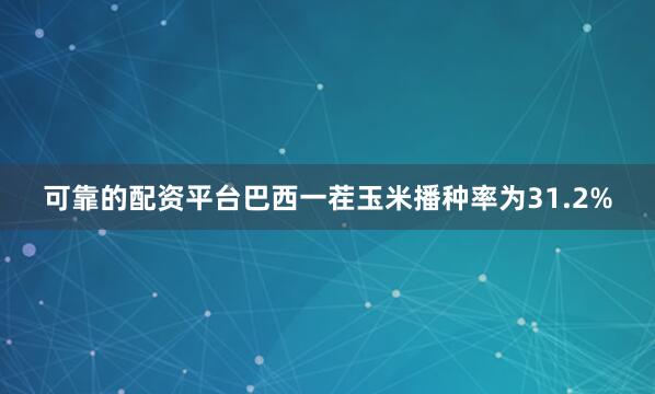 可靠的配资平台巴西一茬玉米播种率为31.2%